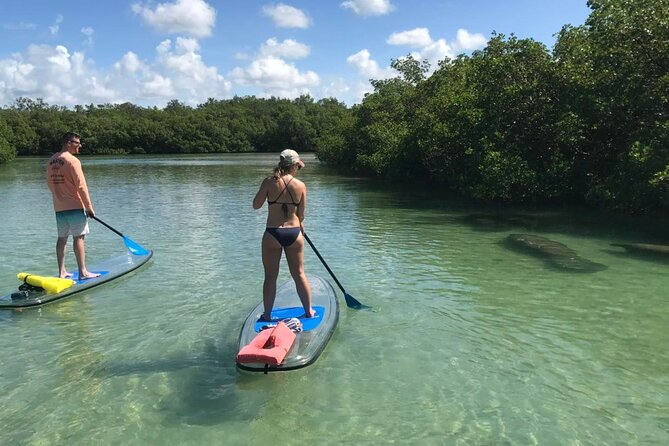 Guided Island EcoTour: CLEAR/Standard Kayak, SUP - Bonita Springs - The Big Hickory Island beach stop