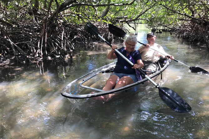 Guided Island EcoTour: CLEAR/Standard Kayak, SUP - Bonita Springs - Guides who make the difference