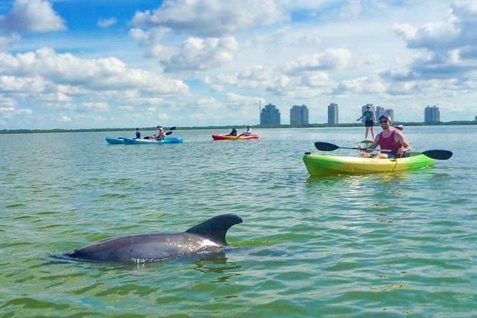 Guided Island EcoTour: CLEAR/Standard Kayak, SUP - Bonita Springs - How demanding is the 2.5-hour outing?