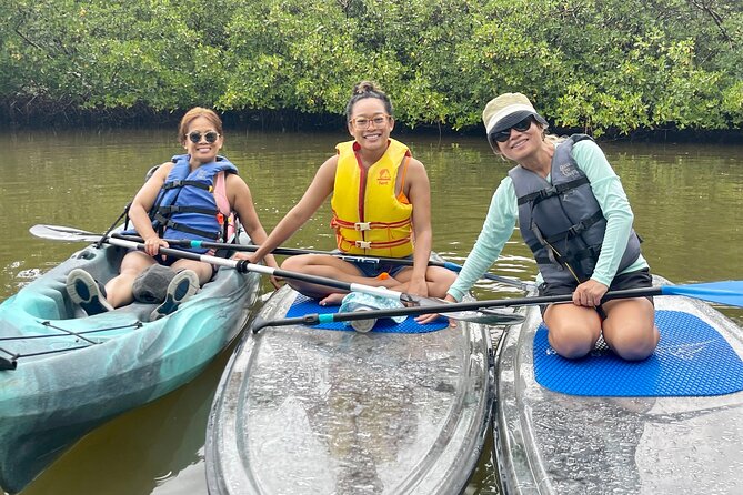 Guided Island EcoTour: CLEAR/Standard Kayak, SUP - Bonita Springs - Paddling into the mangrove corridors