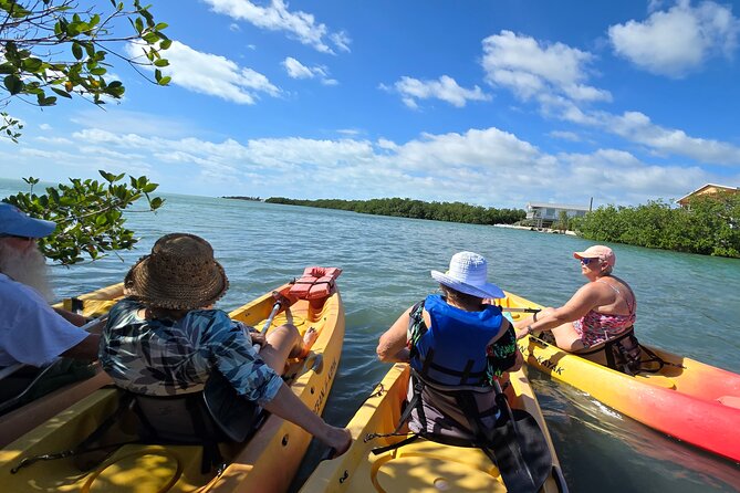 Guided Mangrove Eco Tours Kayak or Paddleboard Adventure - What happens during the two-hour outing