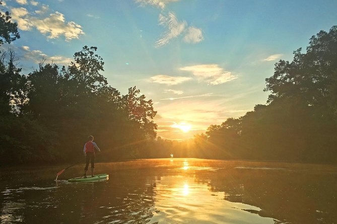 Guided Paddleboard Tour Through Asheville's River Arts District - Passing forests, streams, and local wildlife