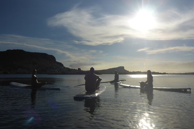 Guided paddleboarding (SUP) mangrove ECO tour for beginners - A short break before the downwind return
