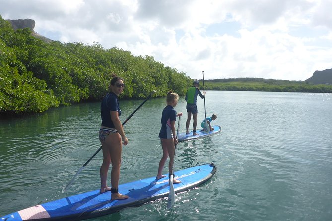 Guided paddleboarding (SUP) mangrove ECO tour for beginners - How hard is two hours on a paddleboard?