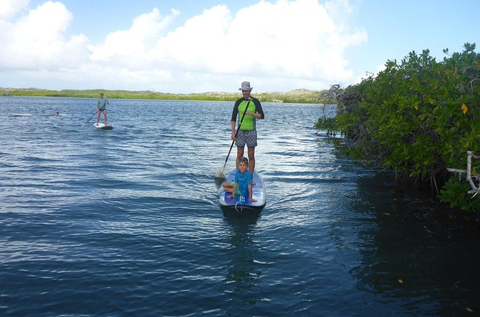 Guided paddleboarding (SUP) mangrove ECO tour for beginners - Pickup, timing, and the return to the station