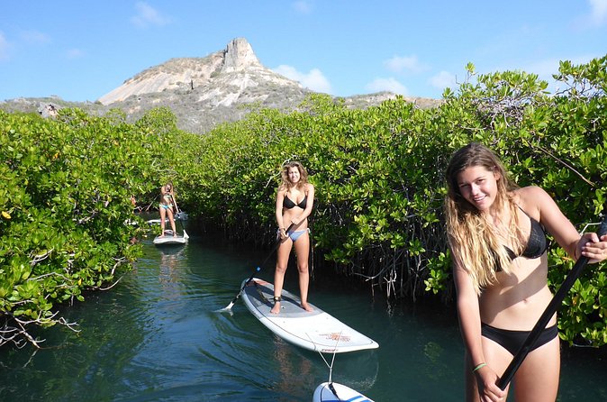 Guided paddleboarding (SUP) mangrove ECO tour for beginners - Equipment, weather, and small practical cautions