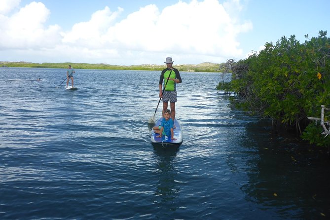 Guided paddleboarding (SUP) mangrove ECO tour for beginners - Who will enjoy this Curacao outing?