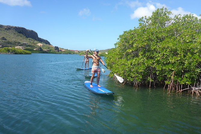 Guided paddleboarding (SUP) mangrove ECO tour for beginners - Quiet channels beneath the mangroves