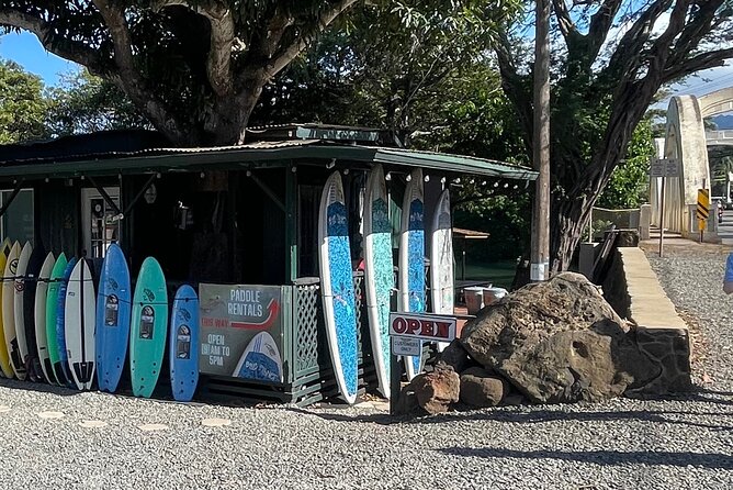 Haleiwa River Paddle Board Rental with Blue Planet Adventure Co. - Returning downstream toward Haleiwa Bay