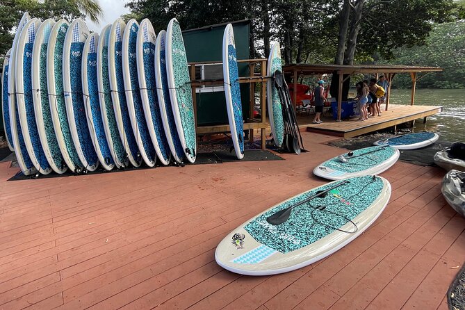 Haleiwa River Paddle Board Rental with Blue Planet Adventure Co. - Turtles, fish, birds, and the rope swing