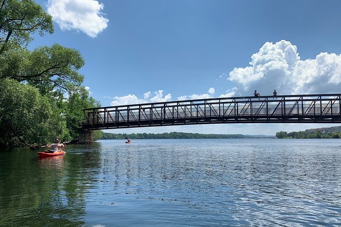 Half-Day Fun Pass: Kayak, Bike and SUP Rental in Traverse City - Trying a SUP when the water is calm