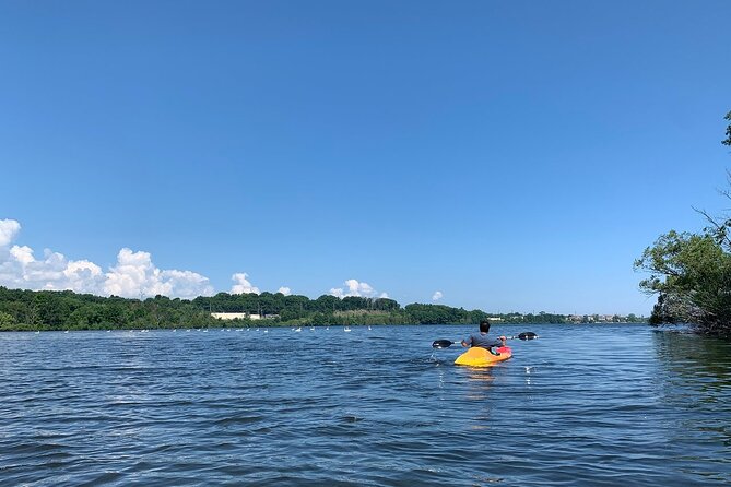 Half-Day Fun Pass: Kayak, Bike and SUP Rental in Traverse City - What makes the self-guided format work