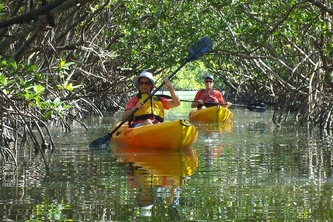 Half Day Kayak or SUP Rental (3hr) - Bunche Beach - Key points at a glance