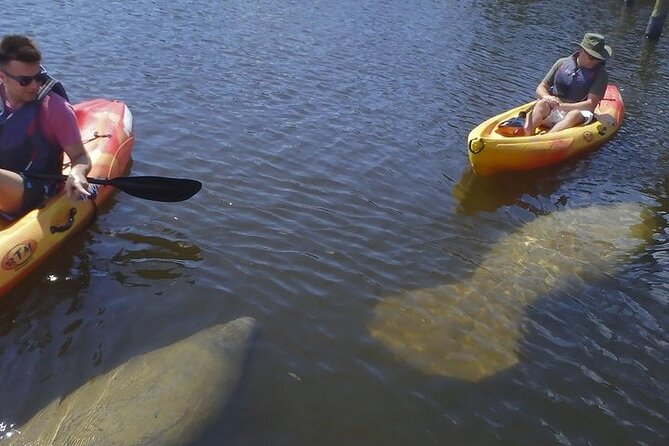 Half Day Kayak or SUP Rental (3hr) - Bunche Beach - Starting at Bunche Beach Activities Center