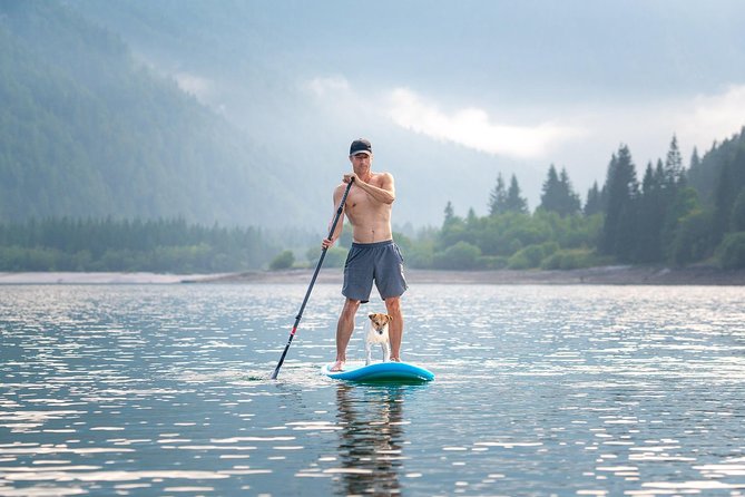 Half Day Stand-up Paddle Boarding (SUP) trip on Lake Predil - What the guide adds to the experience