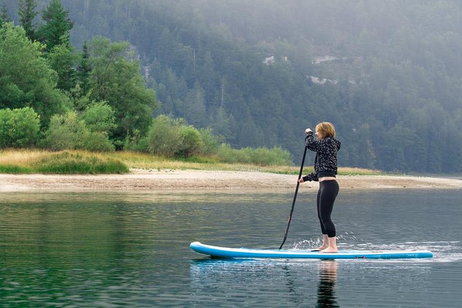 Half Day Stand-up Paddle Boarding (SUP) trip on Lake Predil - Dogs and families on the board