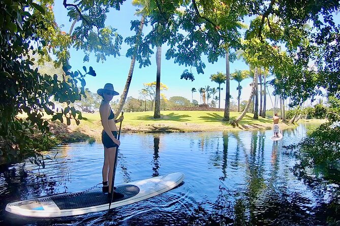Historic Hilo Bay & Coconut Island SUP Adventure - Why Hilo Bay is the right place for a paddle