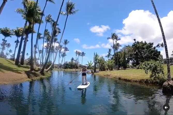 Historic Hilo Bay & Coconut Island SUP Adventure - What the two-hour format really gives you