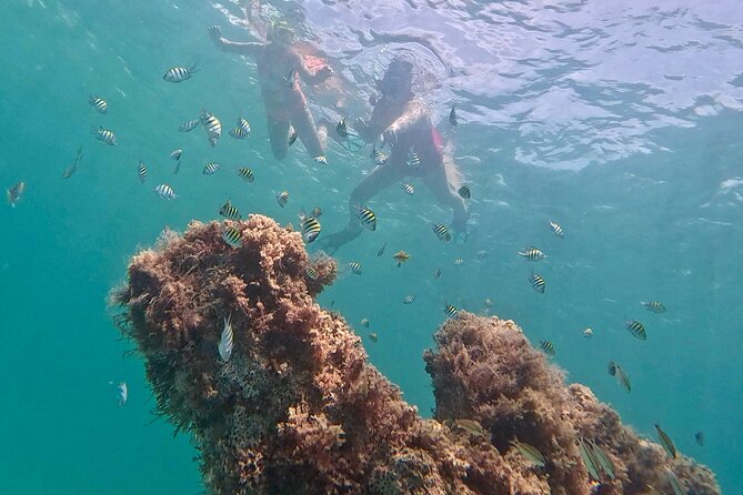 Hollywood Snorkel, Kayak & Paddleboard with Reefs and Sculptures - Choosing a kayak or paddleboard