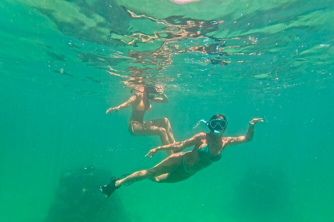 Hollywood Snorkel, Kayak & Paddleboard with Reefs and Sculptures - Snorkeling with clean, well-prepared gear