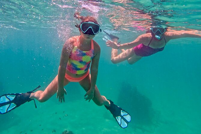 Hollywood Snorkel, Kayak & Paddleboard with Reefs and Sculptures - Beach shade, cold drinks, and a friendly finish