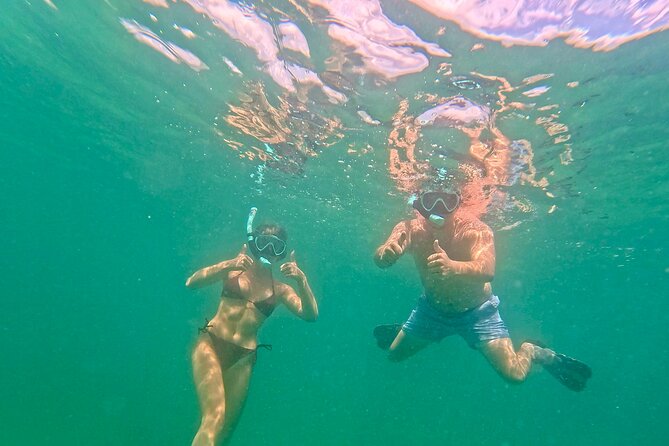 Hollywood Snorkel, Kayak & Paddleboard with Reefs and Sculptures - Who will enjoy this outing most