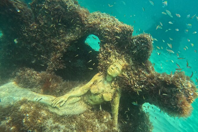 Hollywood Snorkel, Kayak & Paddleboard with Reefs and Sculptures - Artificial reefs and underwater sculptures
