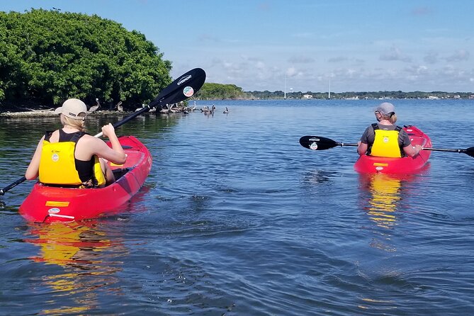 Indian River Clear Bottom Kayak or Paddleboarding Manatee and Dolphin Tour - Choosing a kayak or paddleboard