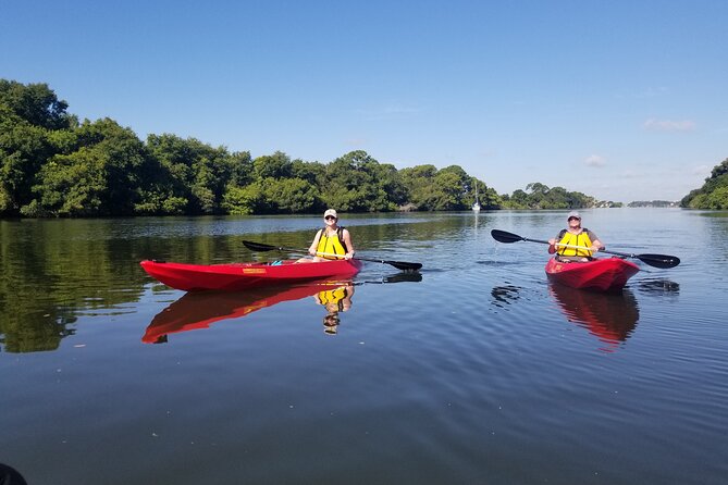 Indian River Clear Bottom Kayak or Paddleboarding Manatee and Dolphin Tour - Weather, cancellations, and practical timing