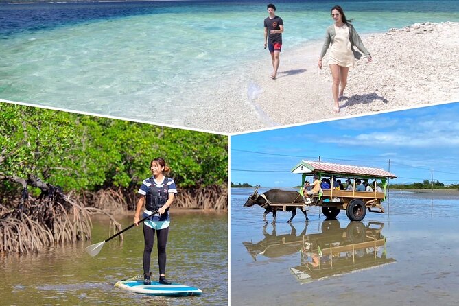 Iriomote 1 Day Mangrove SUP/Canoe, Barasu Island & Yubu Island - The water buffalo cart to Yubu Island