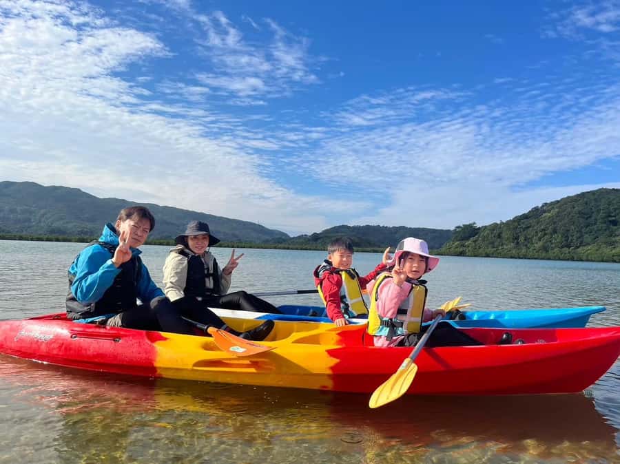 Iriomote island: Mangrove River SUP or Canoe Cruising Tour - Should you book the Iriomote mangrove tour?