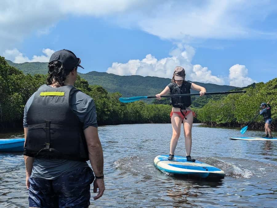 Iriomote island: Mangrove River SUP or Canoe Cruising Tour - Ninety minutes on the water