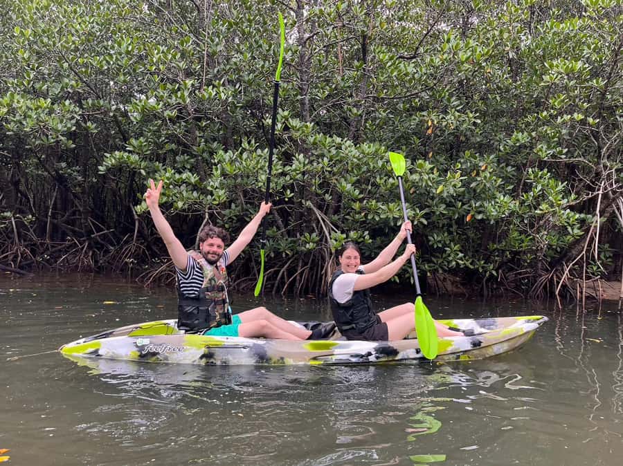 Iriomote island: Mangrove River SUP or Canoe Cruising Tour - The low-tide walk among the roots