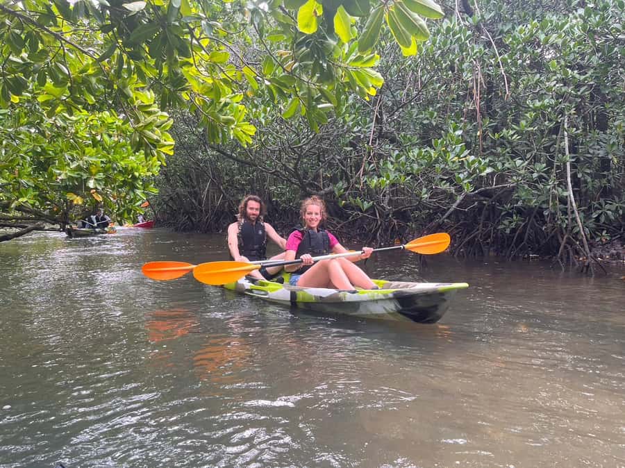 Iriomote island: Mangrove River SUP or Canoe Cruising Tour - A short break, then back to Uehara Port