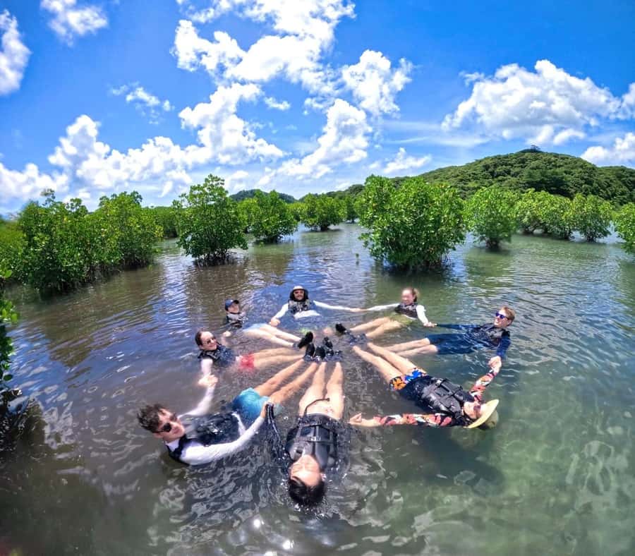 Iriomote island: Mangrove River SUP or Canoe Cruising Tour - How much value do you get for $50?