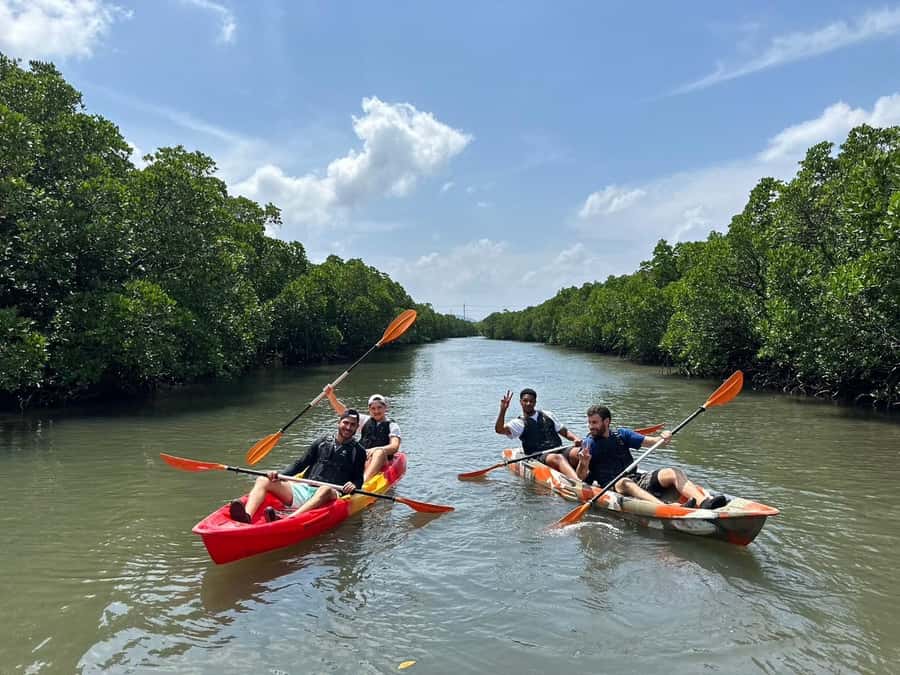 Iriomote island: Mangrove River SUP or Canoe Cruising Tour - Who will enjoy this tour most