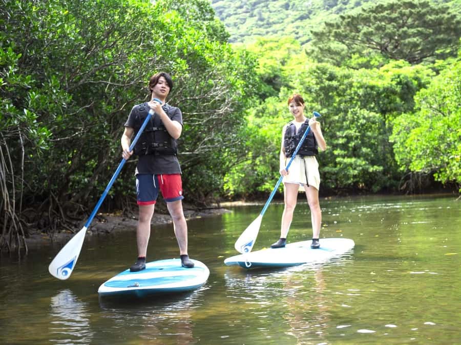 Iriomote island: Mangrove River SUP or Canoe Cruising Tour - From Uehara Port to the mangrove channels
