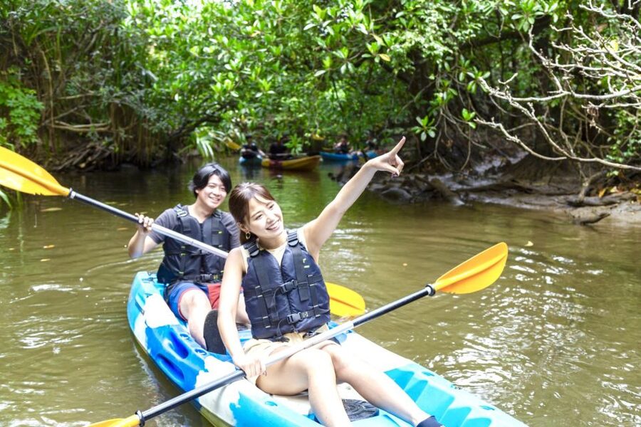 Iriomote Island: SUP or Canoeing and Canyoning Tour - My call: book it if you want variety