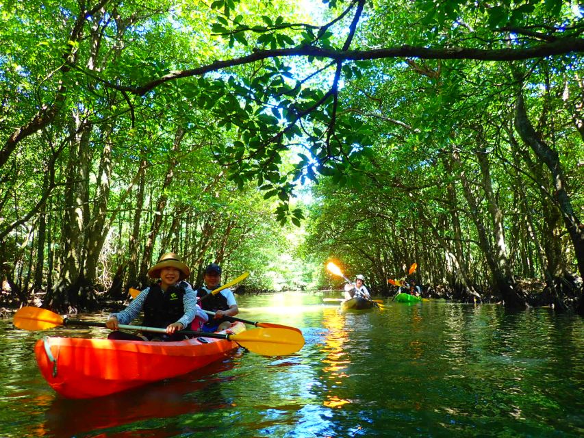 Iriomote Island: SUP or Canoeing and Canyoning Tour - Why this pairing works on Iriomote