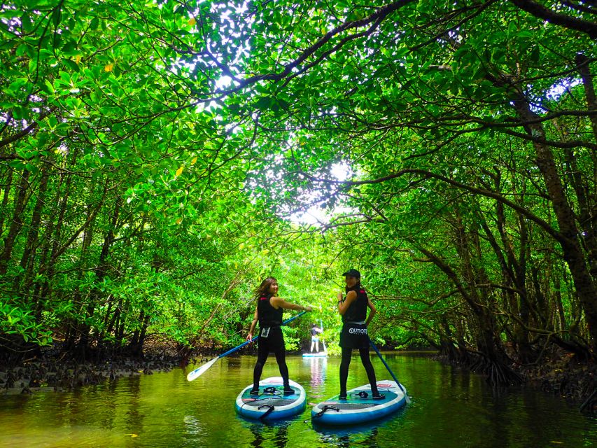 Iriomote Island: SUP or Canoeing and Canyoning Tour - Is $96 a fair price?