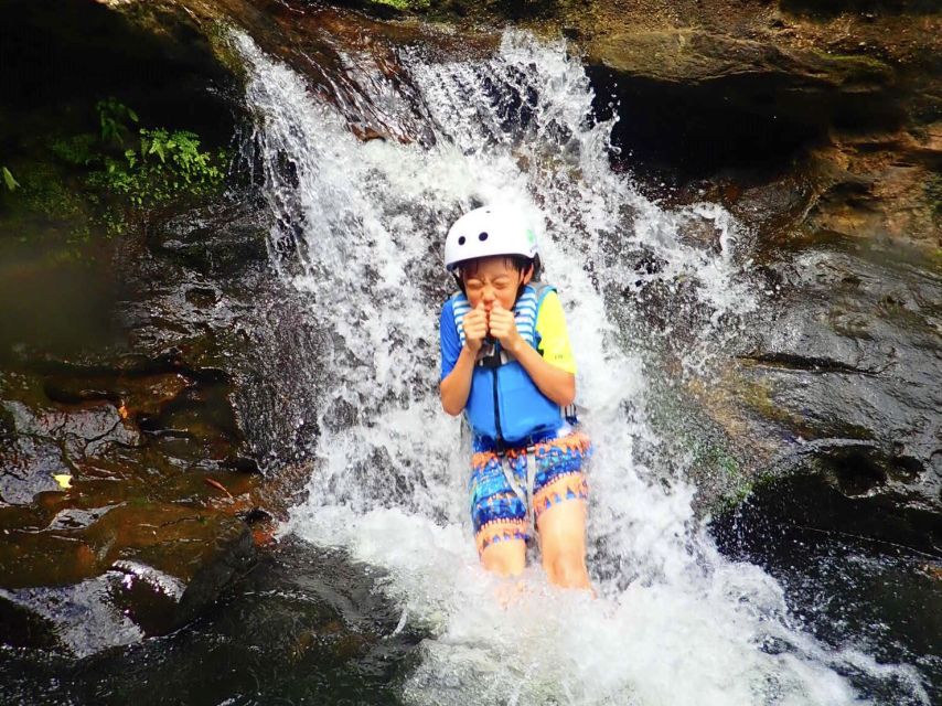Iriomote Island: SUP or Canoeing and Canyoning Tour - Who should choose this outing?