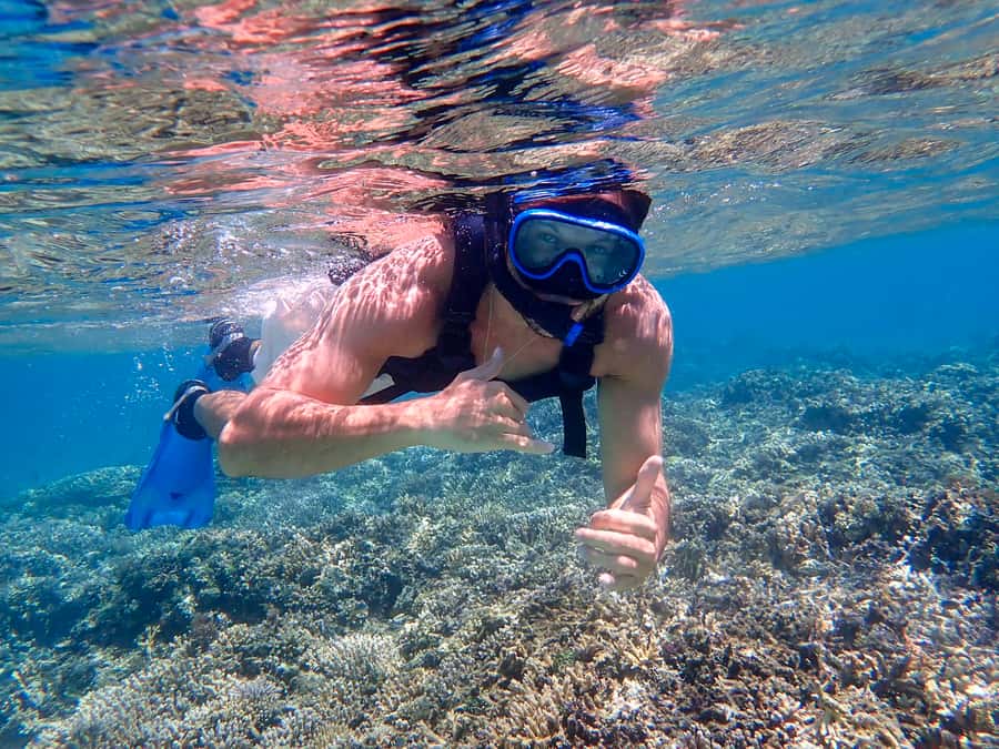 Iriomote Mangrove SUP and Snorkeling at Coral island - What this Iriomote day is really about