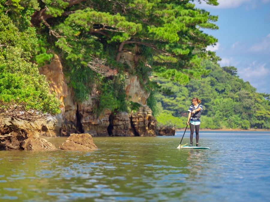 Iriomote Mangrove SUP and Snorkeling at Coral island - Snorkeling over Iriomote’s coastal reef