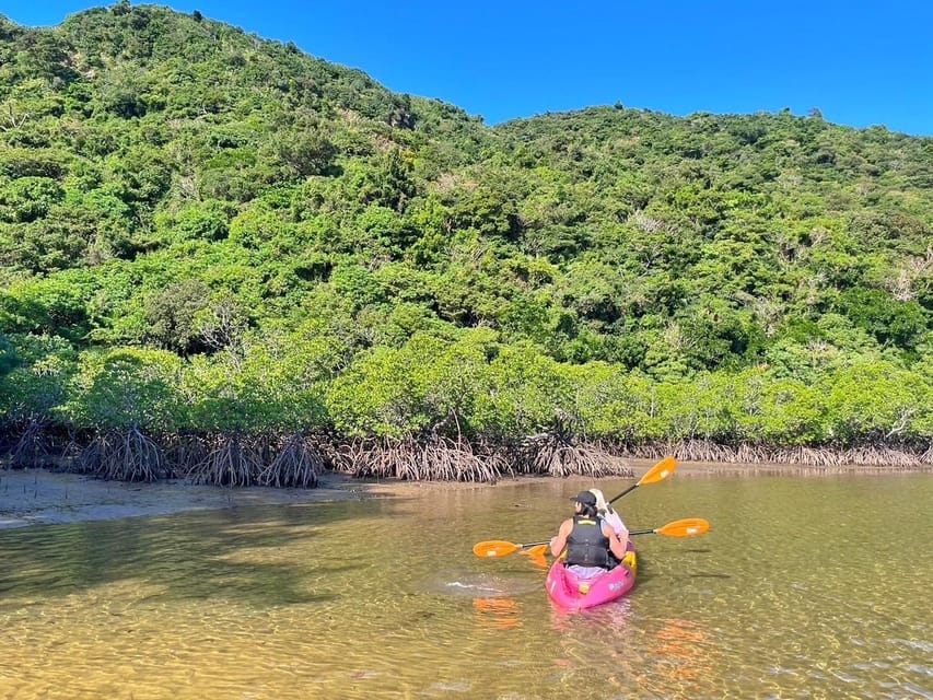 Iriomote Mangrove SUP and Snorkeling at Coral island - Paddling through Iriomote’s mangroves
