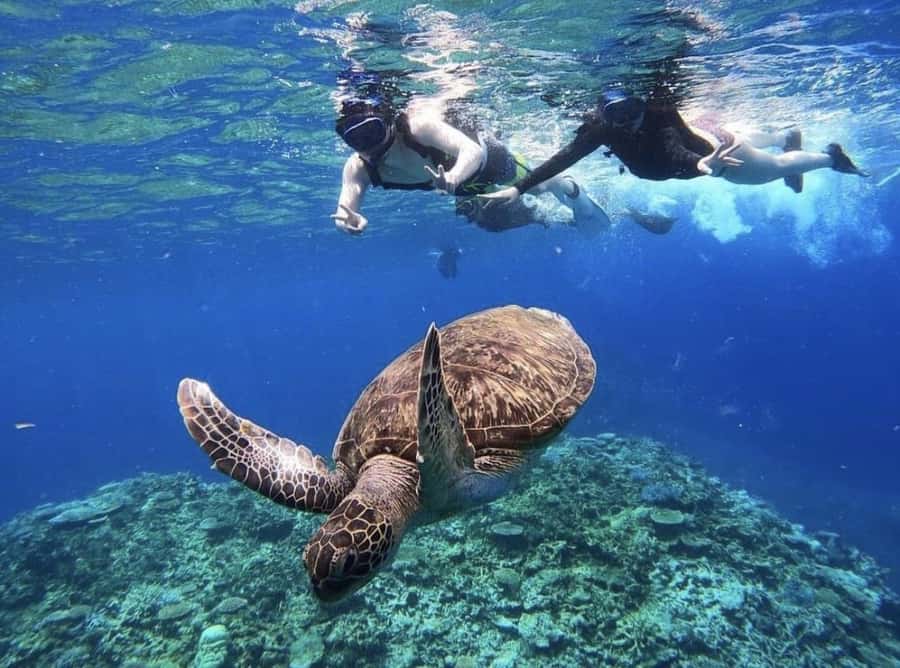 Iriomote Mangrove SUP and Snorkeling at Coral island - Starting at Uehara Port and riding the speedboat