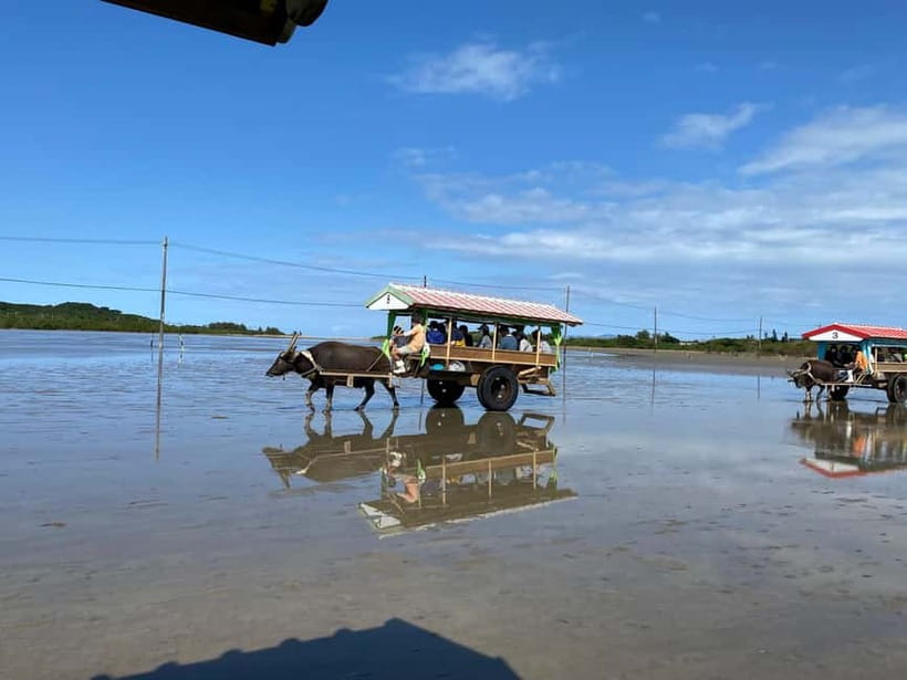 Iriomote: Mangrove SUP or Canoe and Yubujima sightseeing - Why the mangrove and Yubujima combination works