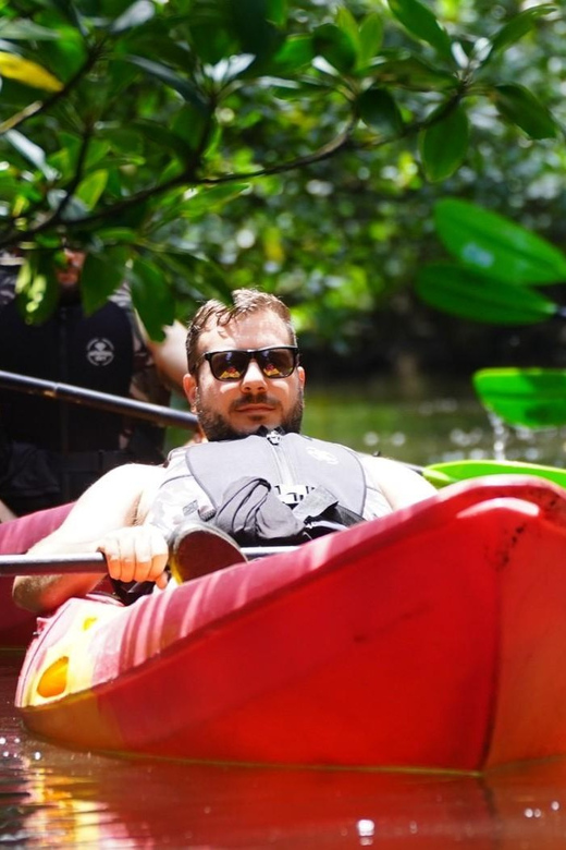 Iriomote: Mangrove SUP or Canoe and Yubujima sightseeing - What is included for the $80 price