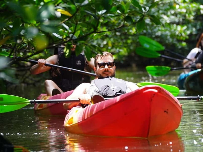 Iriomote: Mangrove SUP or Canoe and Yubujima sightseeing - A useful pause before the second half