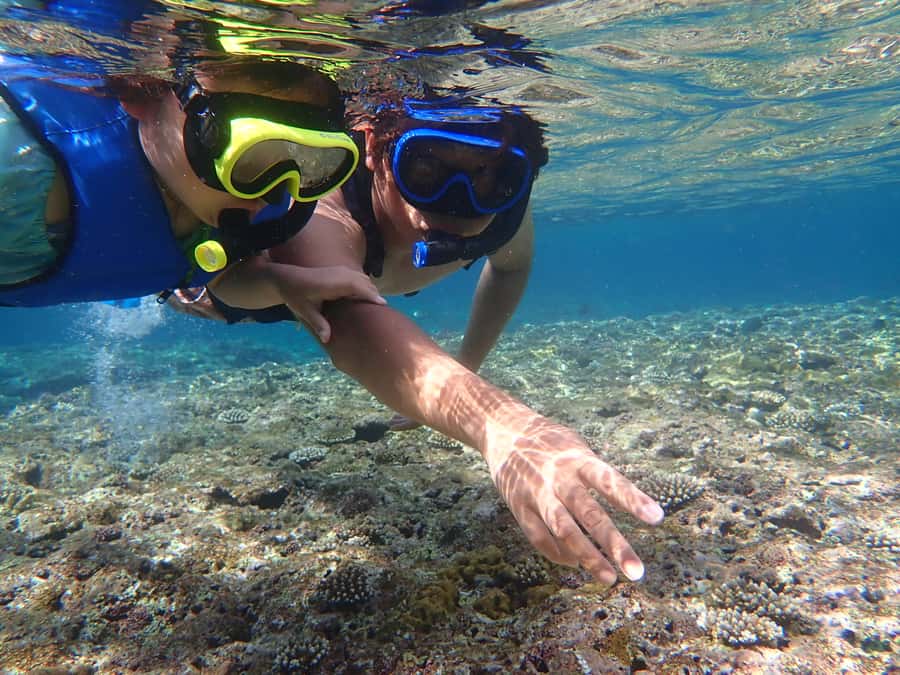 Ishigaki: Canoe or SUP at Kabira Bay&Snorkeling at Blue Cave - What the $93 price really covers