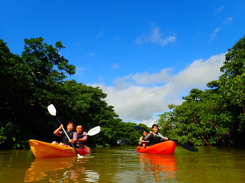 Ishigaki Island: 2-Hour Miyara River SUP or Canoeing Tour - Why Miyara River is worth your morning